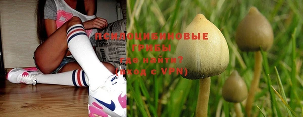 дживик Абинск