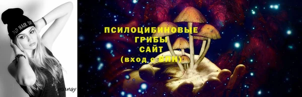 Альфа ПВП Абдулино