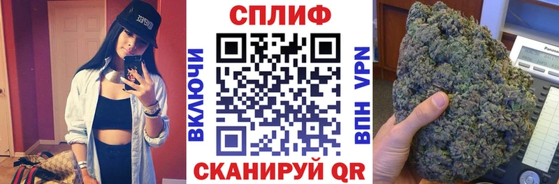 гидра ссылки  Торжок  Бошки Шишки планчик 
